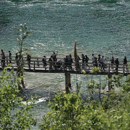 Apartment Cozy In With Wifi